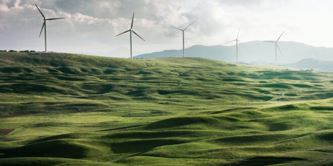 wind turbine surrounded by grass