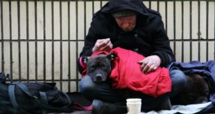 dog on top of person's lap while sitting on ground at daytime